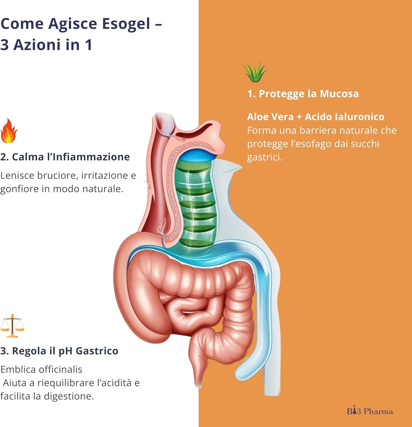 Esogel stick bruciore di stomaco e reflusso  gastroesofageo